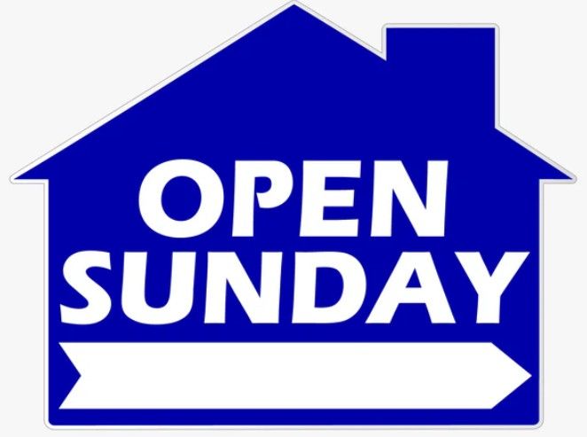 OPEN SUNDAY HOUSE SHAPE Blue