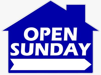 OPEN SUNDAY HOUSE SHAPE Blue
