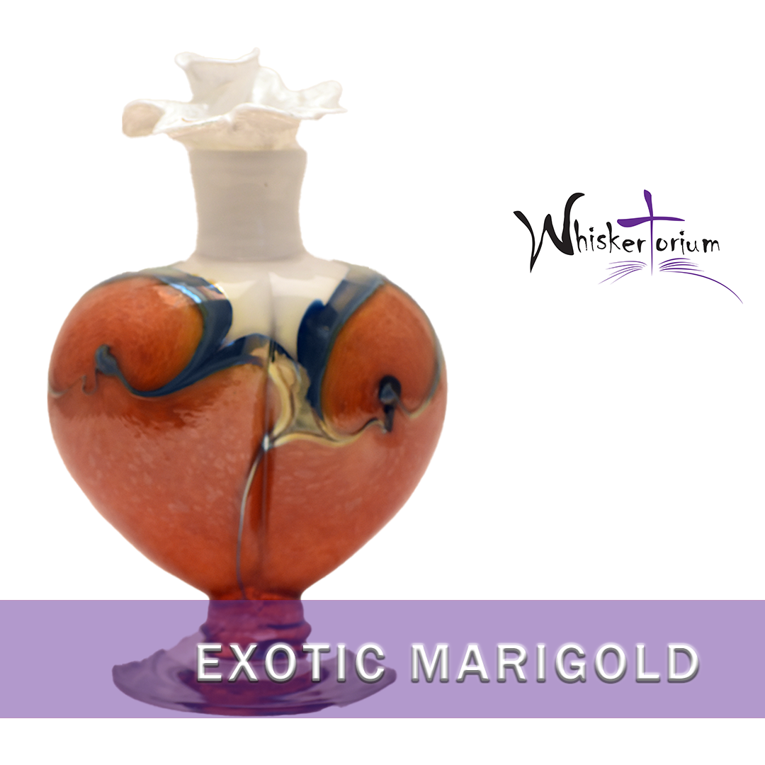Exotic Marigold