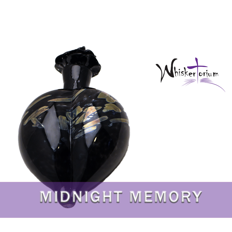 Midnight Memory