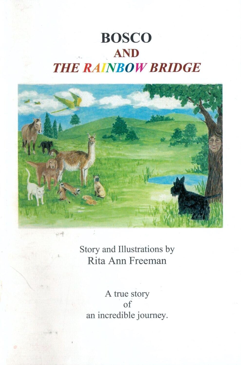 Bosco and The Rainbow Bridge