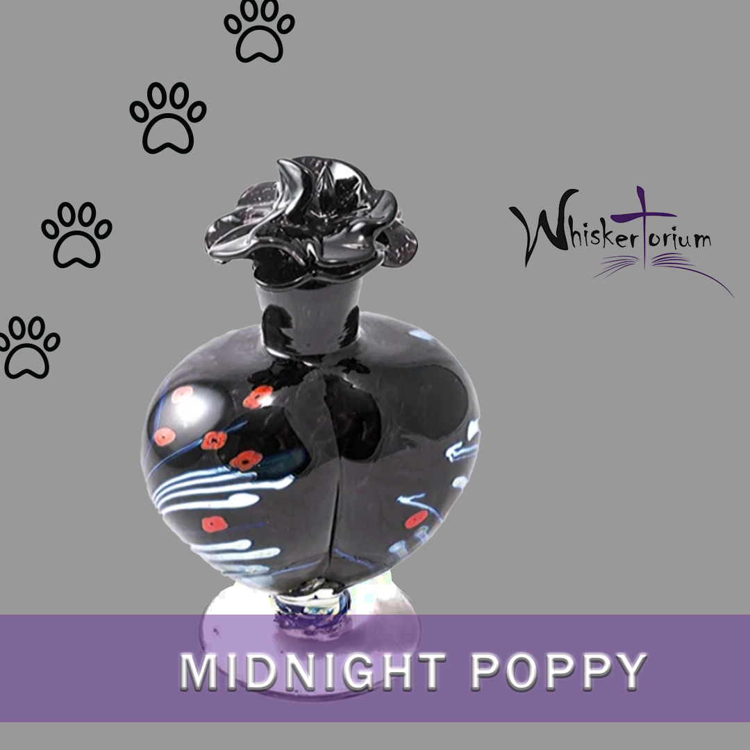 Midnight Poppy