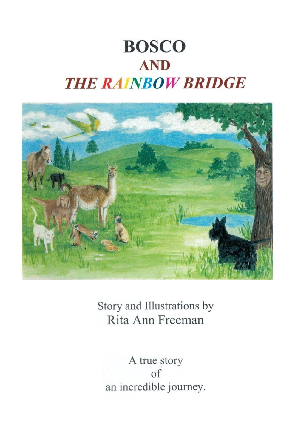 Bosco and The Rainbow Bridge