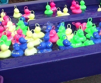 Peche Canards