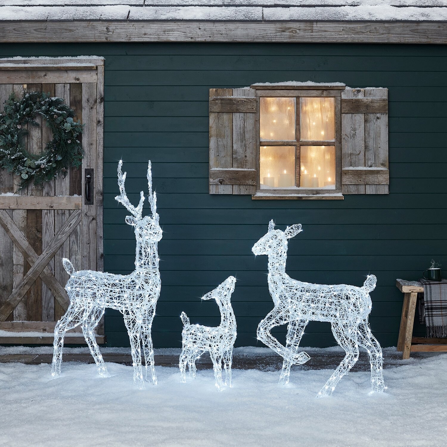 Famille de Rennes Lumineux Noël