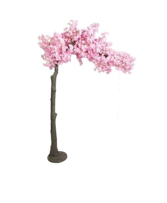 Arbre rose arche 3m