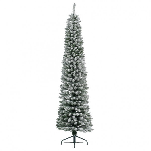 Sapin fin enneigé