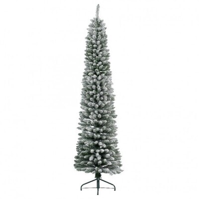 Sapin fin enneigé