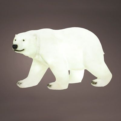 Ours polaire lumineux