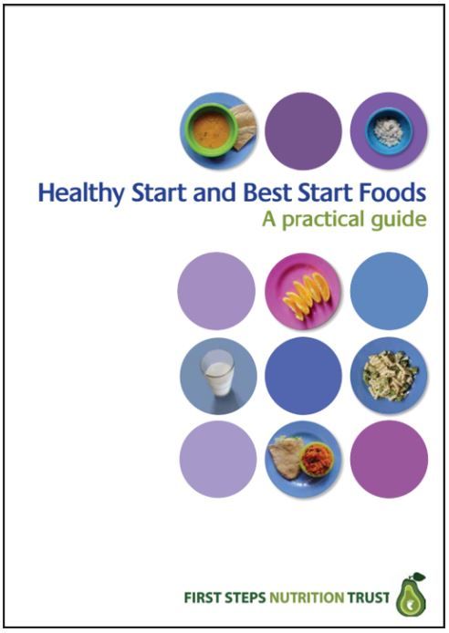 Healthy Start and Best Start Foods, A practical guide (PDF/Digital Download only)