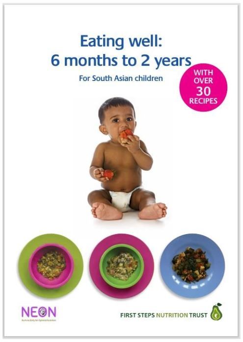 Eating Well for South Asian Children, 6 months to 2 years (PDF/Digital Download only)