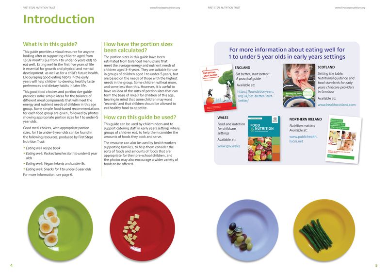 Good Food Choices &amp; Portion Sizes for 1-under 5 Year Olds (Hard Copy)