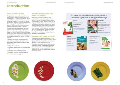 Good Food Choices &amp; Portion Sizes for 1-under 5 Year Olds (Hard Copy)