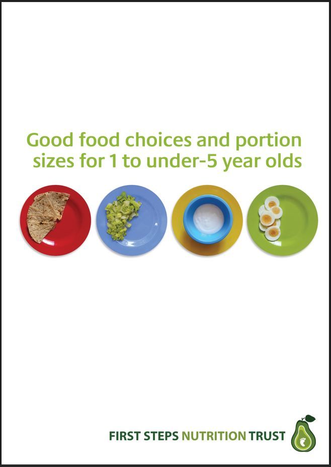 Good Food Choices &amp; Portion Sizes for 1-under 5 Year Olds (Hard Copy)