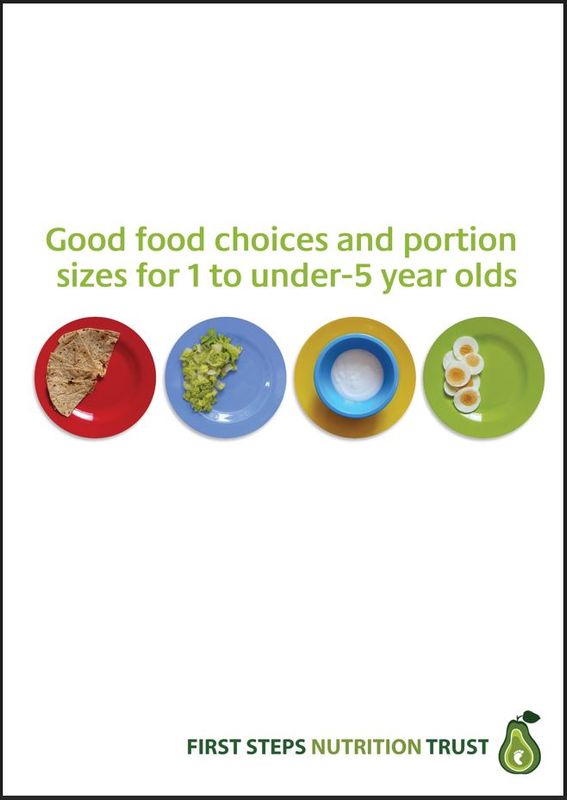 Good Food Choices &amp; Portion Sizes for 1-under 5 Year Olds (Hard Copy)