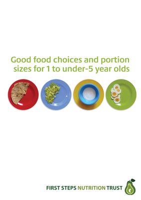 Good Food Choices &amp; Portion Sizes for 1-under 5 Year Olds (Hard Copy)