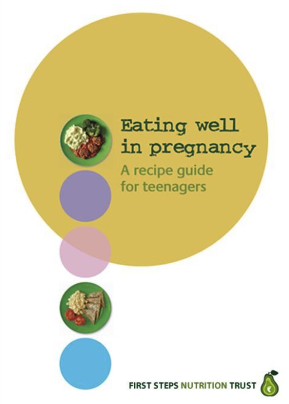 Eating Well in Pregnancy, a recipe guide for teenagers (PDF/Digital Download only)