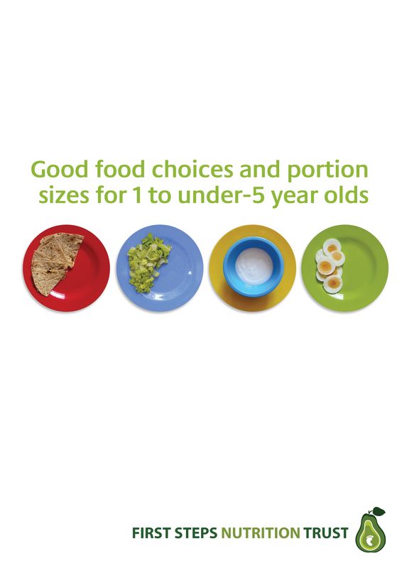 Good Food Choices &amp; Portion Sizes for 1-under 5 Year Olds (Hard Copy)