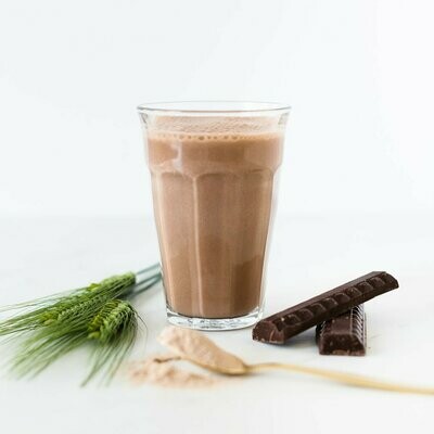 Vegan  Chocolate 420 g shake