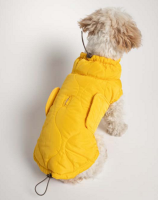 Al quilted puffer - Yellow