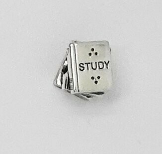 Pandora Element 790536 "Studienbuch"
