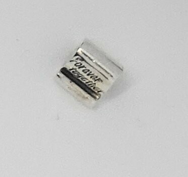 Pandora Element 790513 Pandora Element 790513 "Forever together"