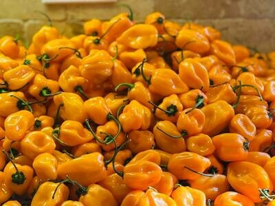 Habanero Salt