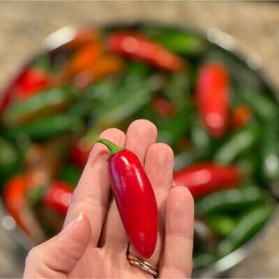Jalapeño Salt (Red) 🌶 