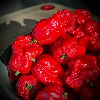 Carolina Reaper Salt (World’s Hottest Pepper!)