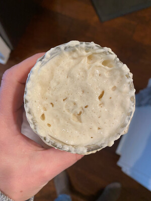 Active Sourdough Starter