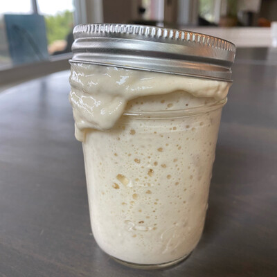 Active Sourdough Starter