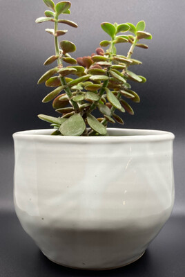 White-on-White Oval Vase/Planter