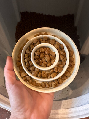 Slow Feed Pet Food Bowl, 1/2 cup