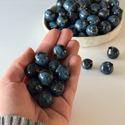 Blueberries! Handmade Ceramic Blueberry 🫐