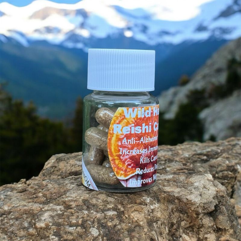 Reishi Capsules (30ct)