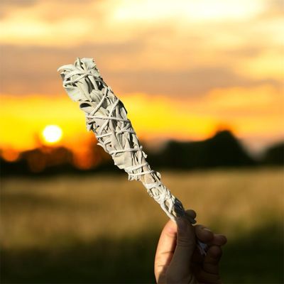 Hand-bundled White Sage Smudge Bundle