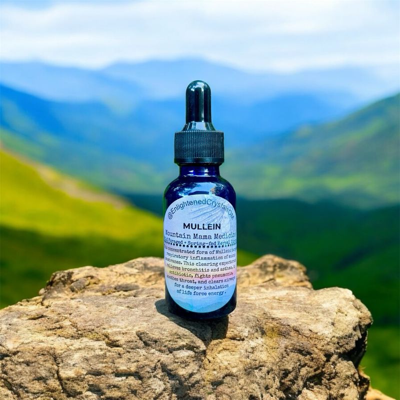 Mountain Mullein Tincture (Respiratory)