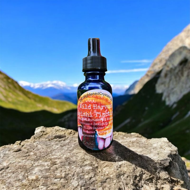 Mountain Reishi Mushroom Tincture (Nerve Stimulator)
