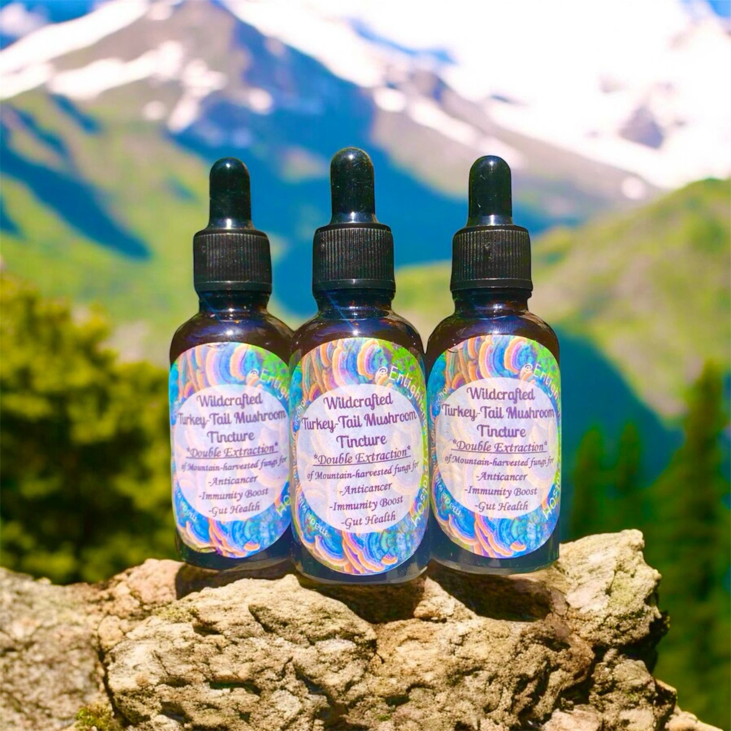 Mountain Turkey-Tail Tincture (Gut Harmonizer)