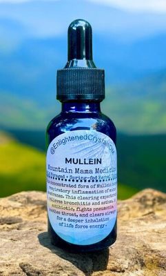 Mountain Mullein Tincture (Respiratory)
