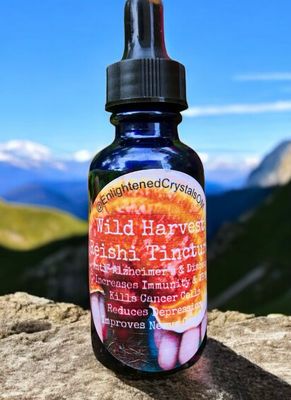 Mountain Reishi Mushroom Tincture (Nerve Stimulator)
