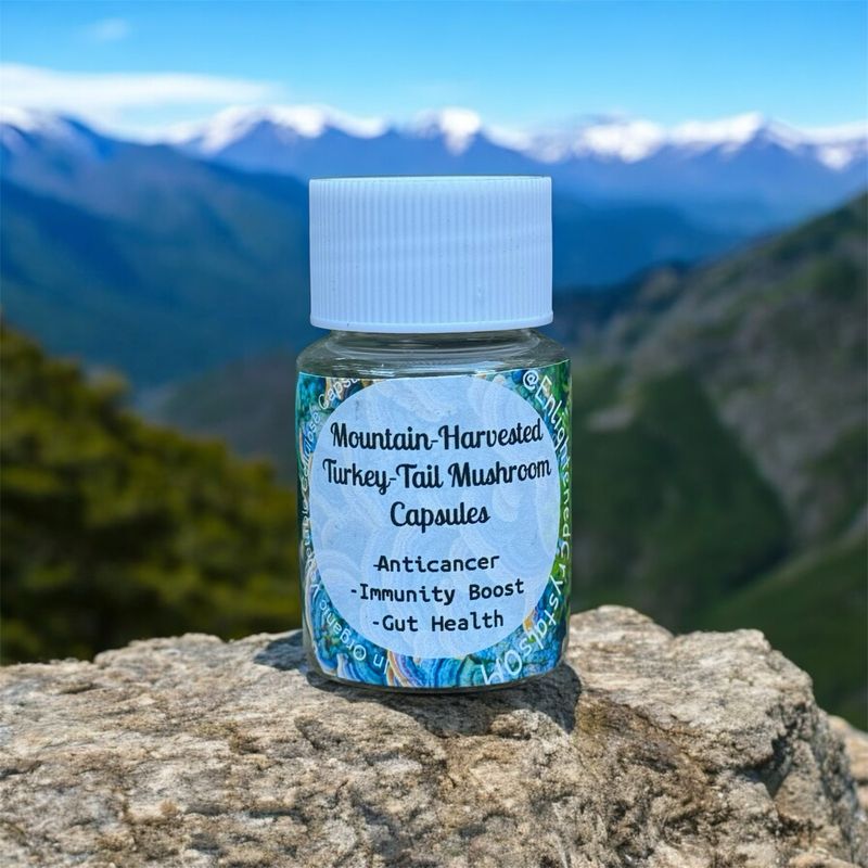 Turkey Tail Capsules (30ct)