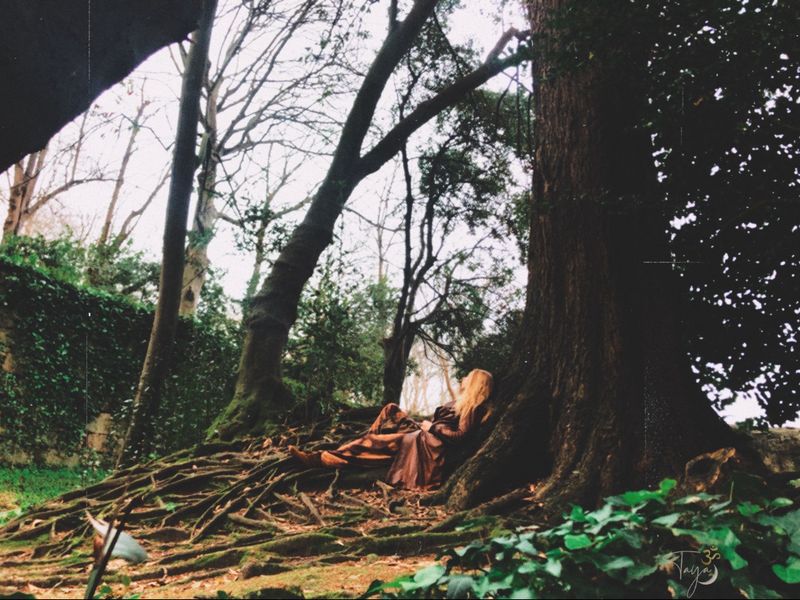 Fairyland