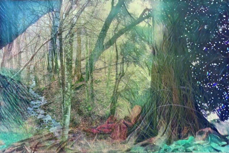 Wandering Path