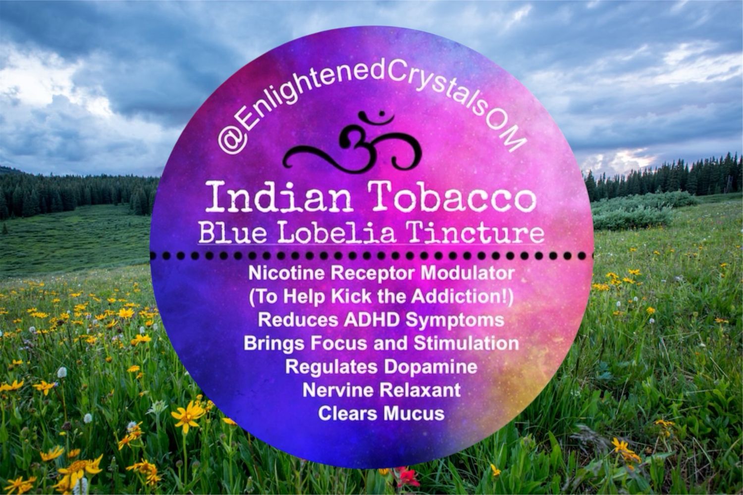 Indian Tobacco Tincture