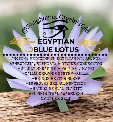 1oz Dried Egyptian Blue Lotus