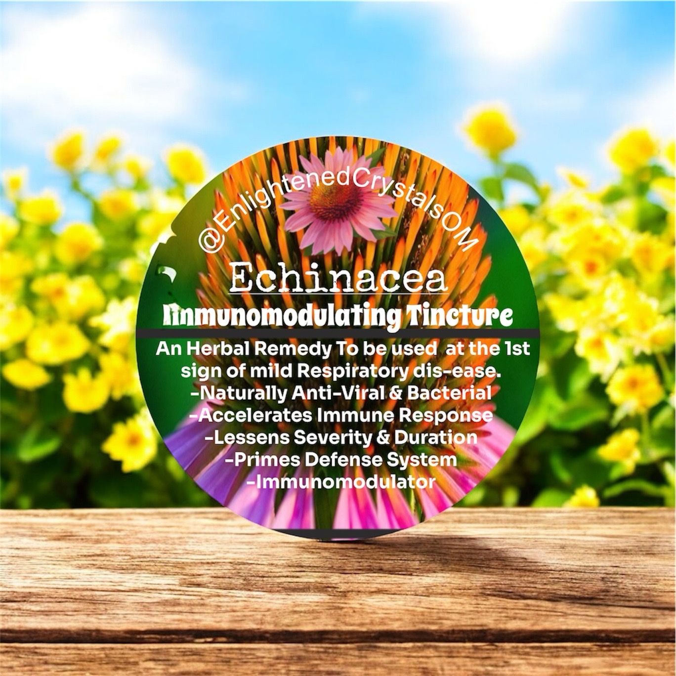 Echinacea Tincture (Broad Spectrum Antibiotic)