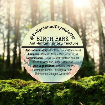 Birch Bark(Nature’s Advil)