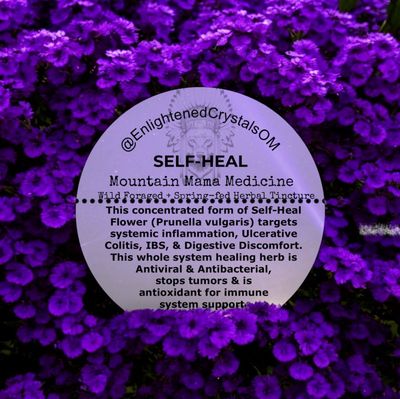 Mountain Self Heal Tincture (Systemic Inflamation)