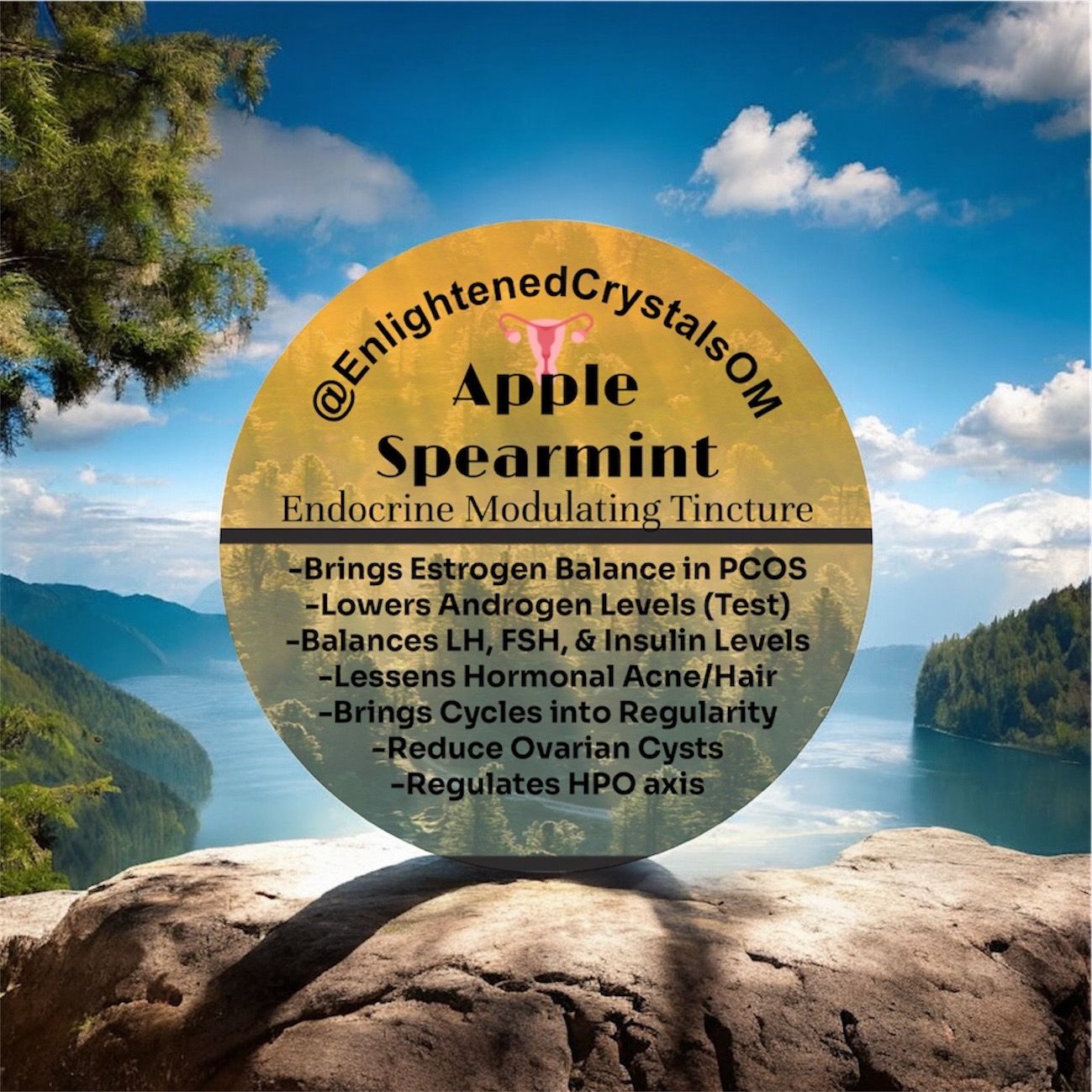 Apple Spearmint Tincture